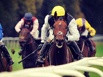 Horses down the home straight at Worcester Racecourse