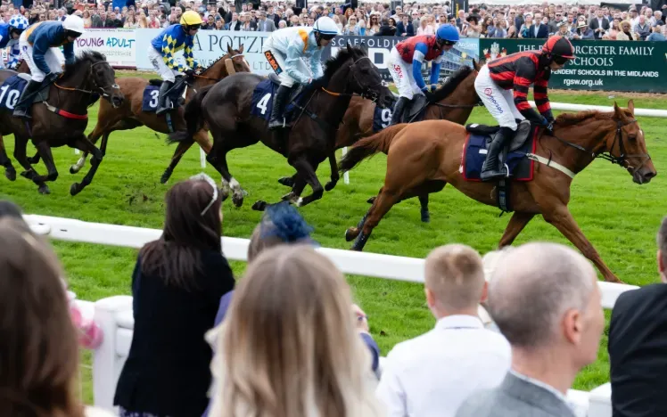 Horses thunder down the straight at Worcester Racecourse