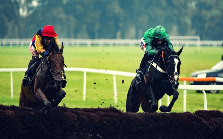 Two horses jumping a fence at Worcester Racecourse.