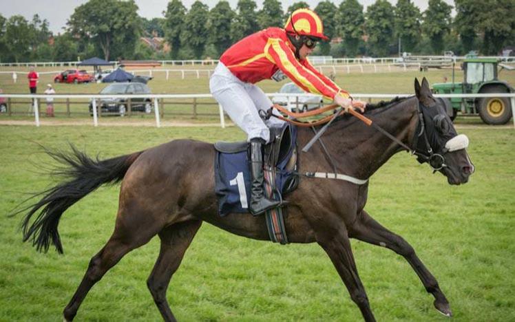 A horse and jockey stretch their legs at Worcester Racecourse.