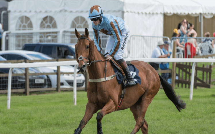 A horse and jockey imbering up at Worcester Racecourse.