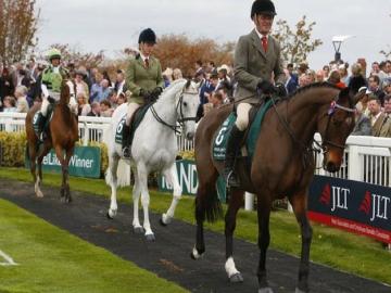 Horses trotting around the parade ring at Worcester Racecourse