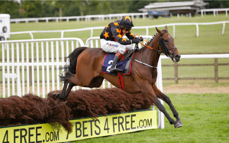 A runner at Worcester Racecourse clearing a fence