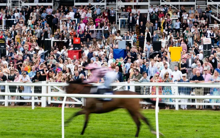 A horse races past a packed grandstand at Worc