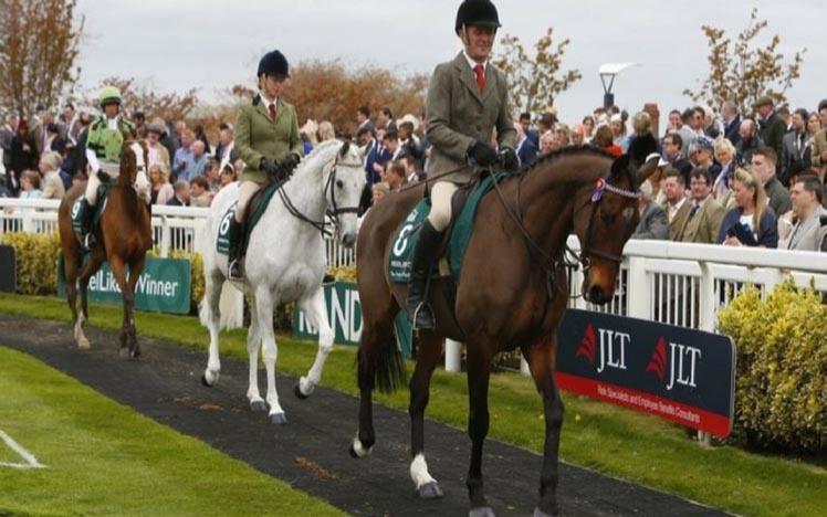 Horses trotting around the parade ring at Worcester Racecourse