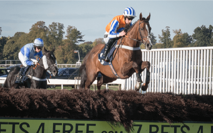 An image of two horses as they attempt to cleart a course fence.