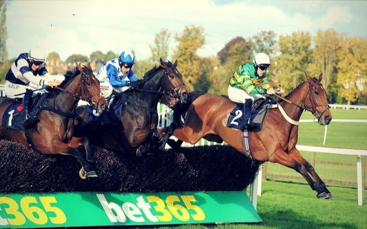 A group of horses mid fence jump