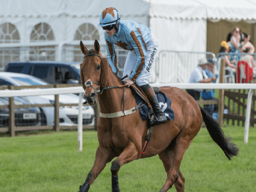A horse and jockey limbering up at Worcester Racecourse