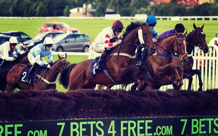 A field of runners racing to get over a fence at Worcester Racecourse.