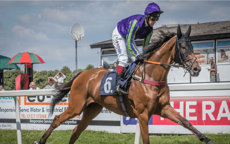 A horse and jockey stretching legs at Worcester Racecourse.