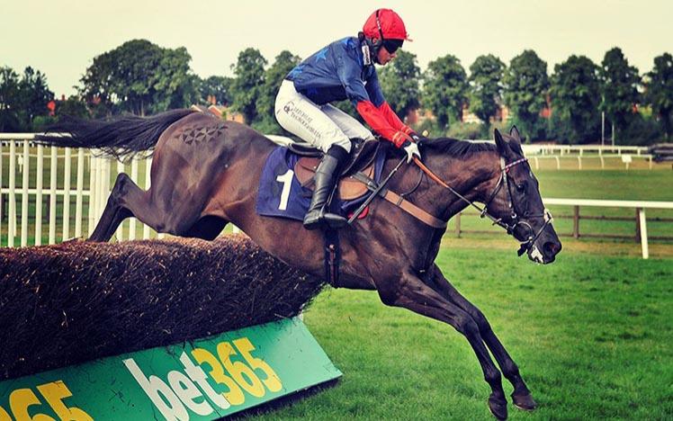 A horse landing after jumping a fence at Worcester Racecourse