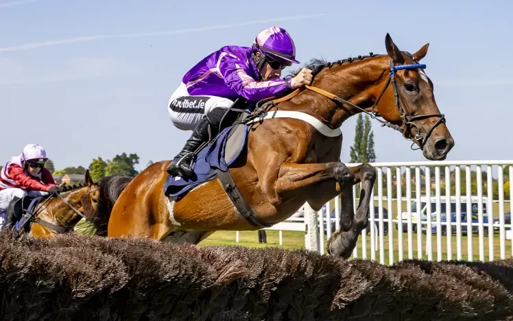 A close up of the action at a jumps race at the Worcester track