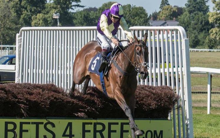 A horse and jockey run towards the camera after clearing a fence