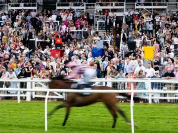 A horse races past a packed grandstand at worcester